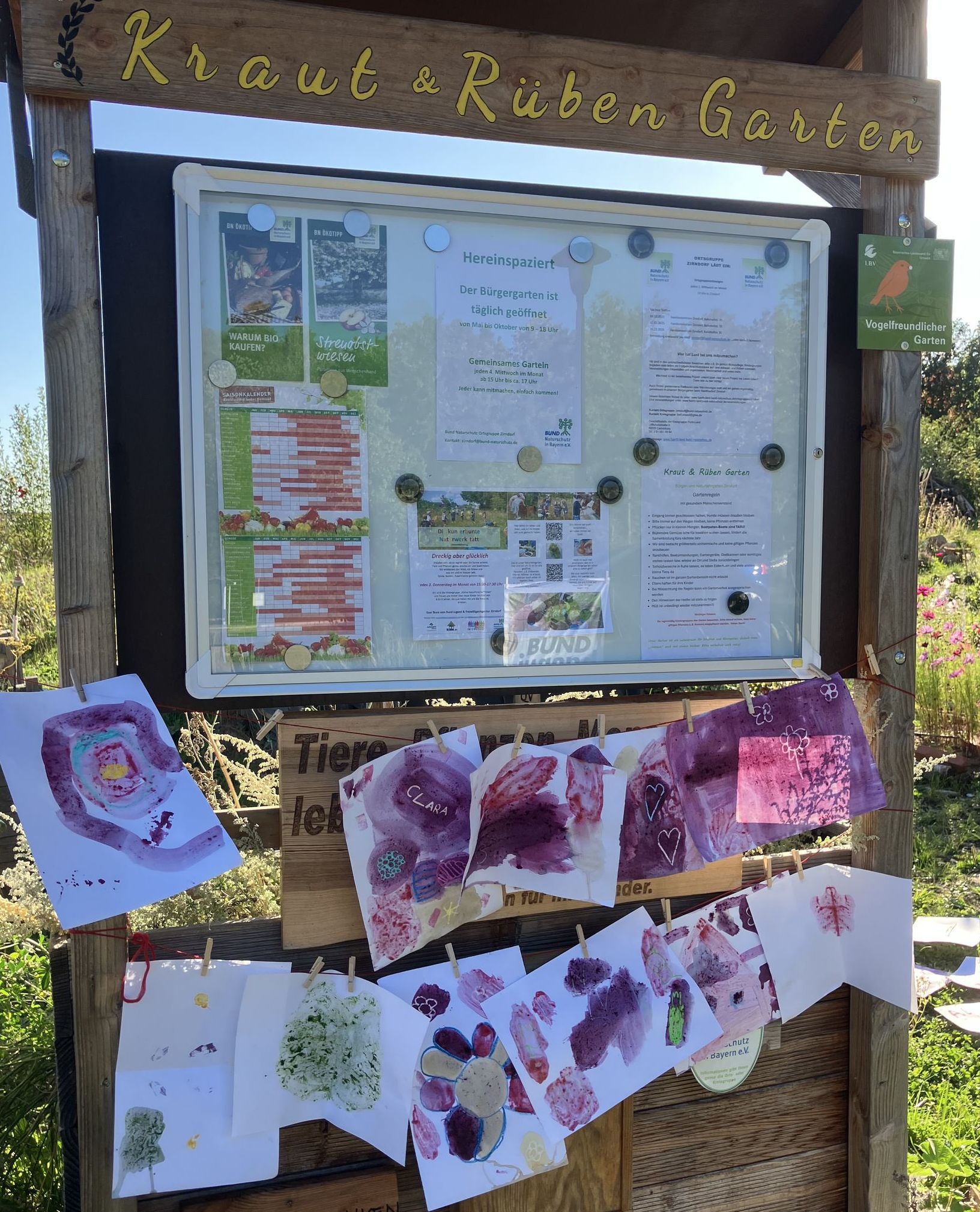 Bunte Bilder hängen am "Kraut und Rüben Garten"
