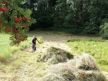 Biotoppflege am Kesselberg 2020