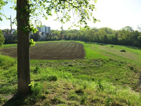 Foto: A.Pfeifenberger