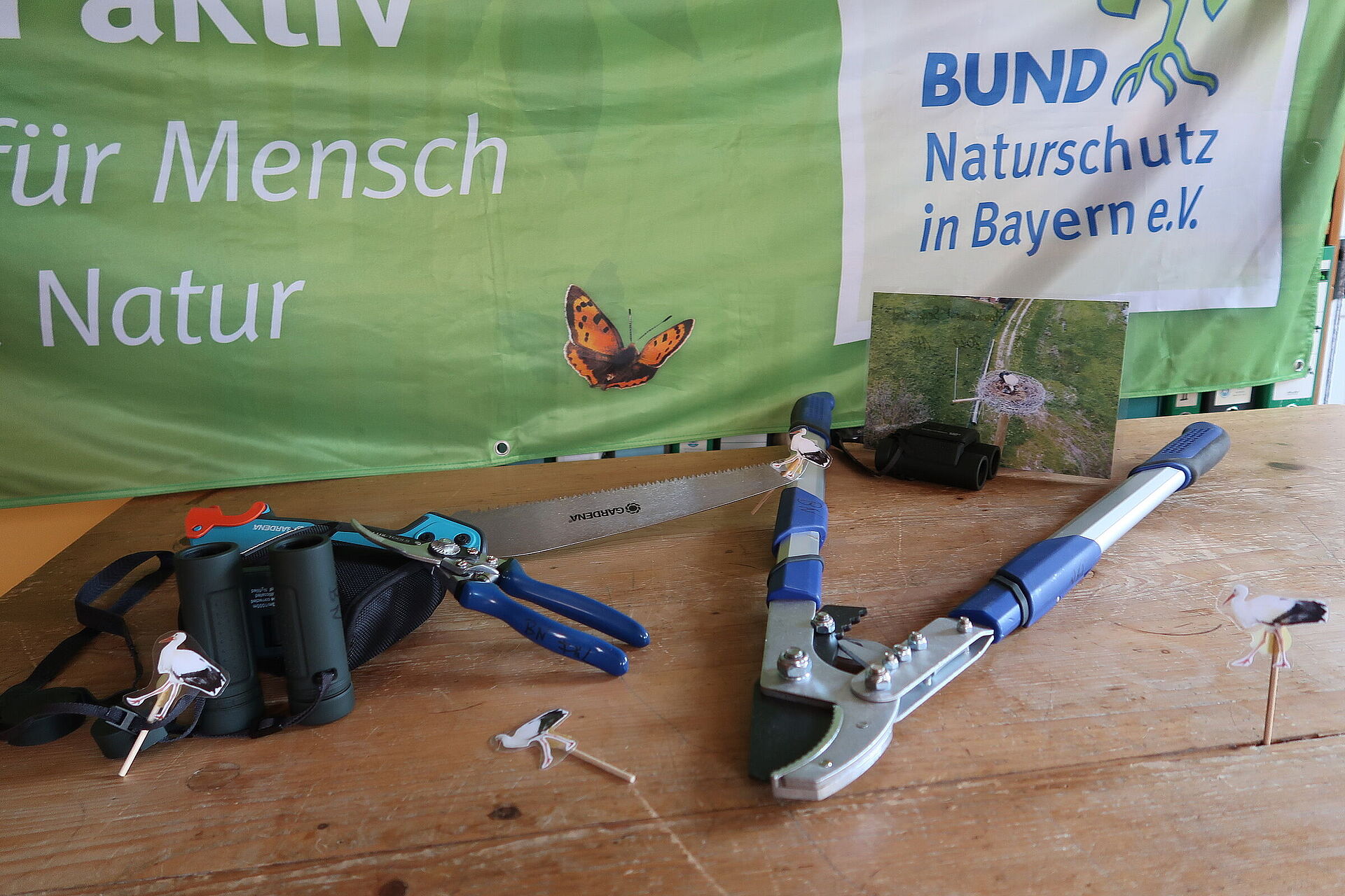 Storch - BUND Naturschutz In Bayern E.V.