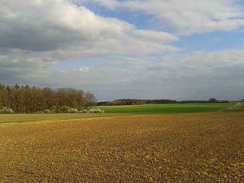 Foto: A. Pfeifenberger