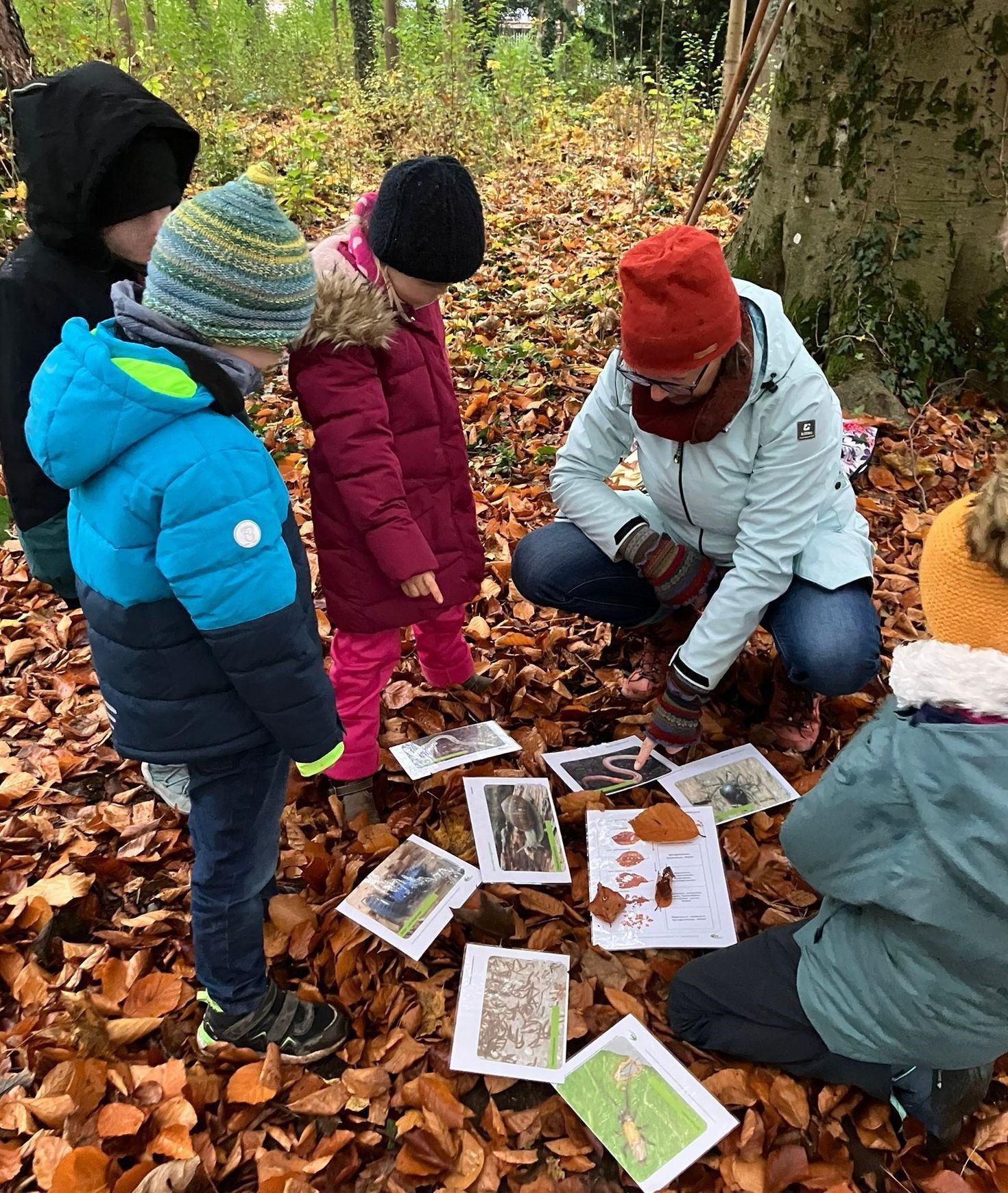 Kinder stehen um Fotos von wirbellosen Tieren im Wald