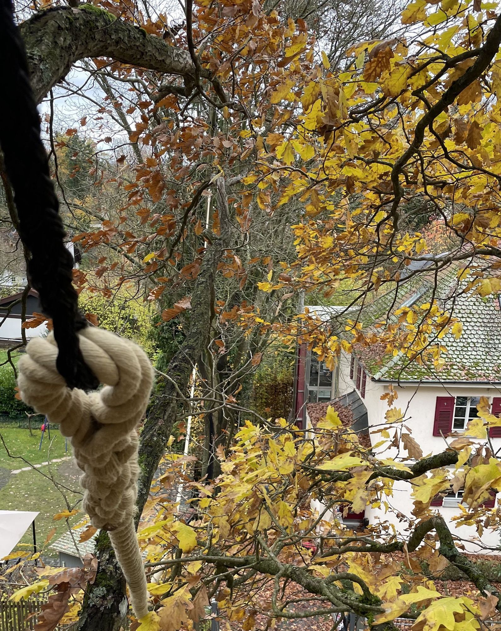 Ein Seil hängt in großer Höhe von Baum zu Baum