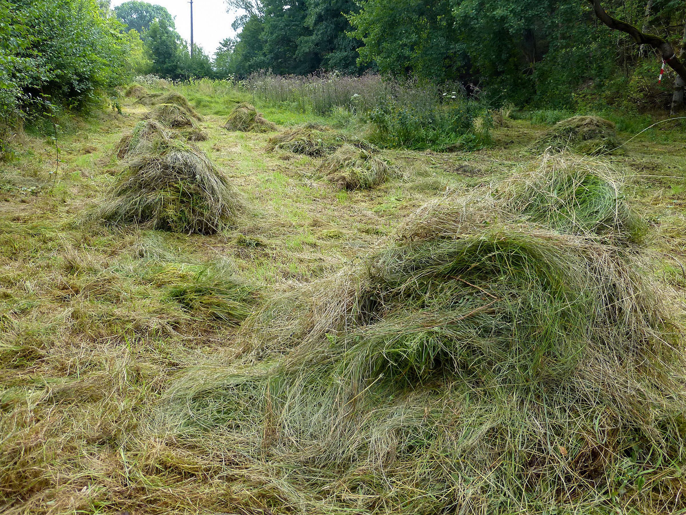 Heuhaufen im Volkertsgarten