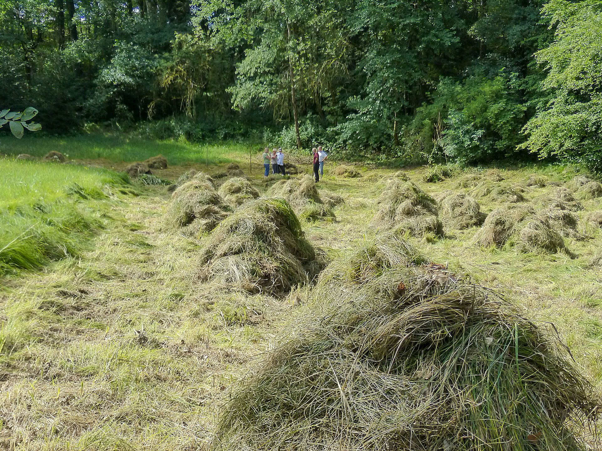 Blick in den Volkertsgarten