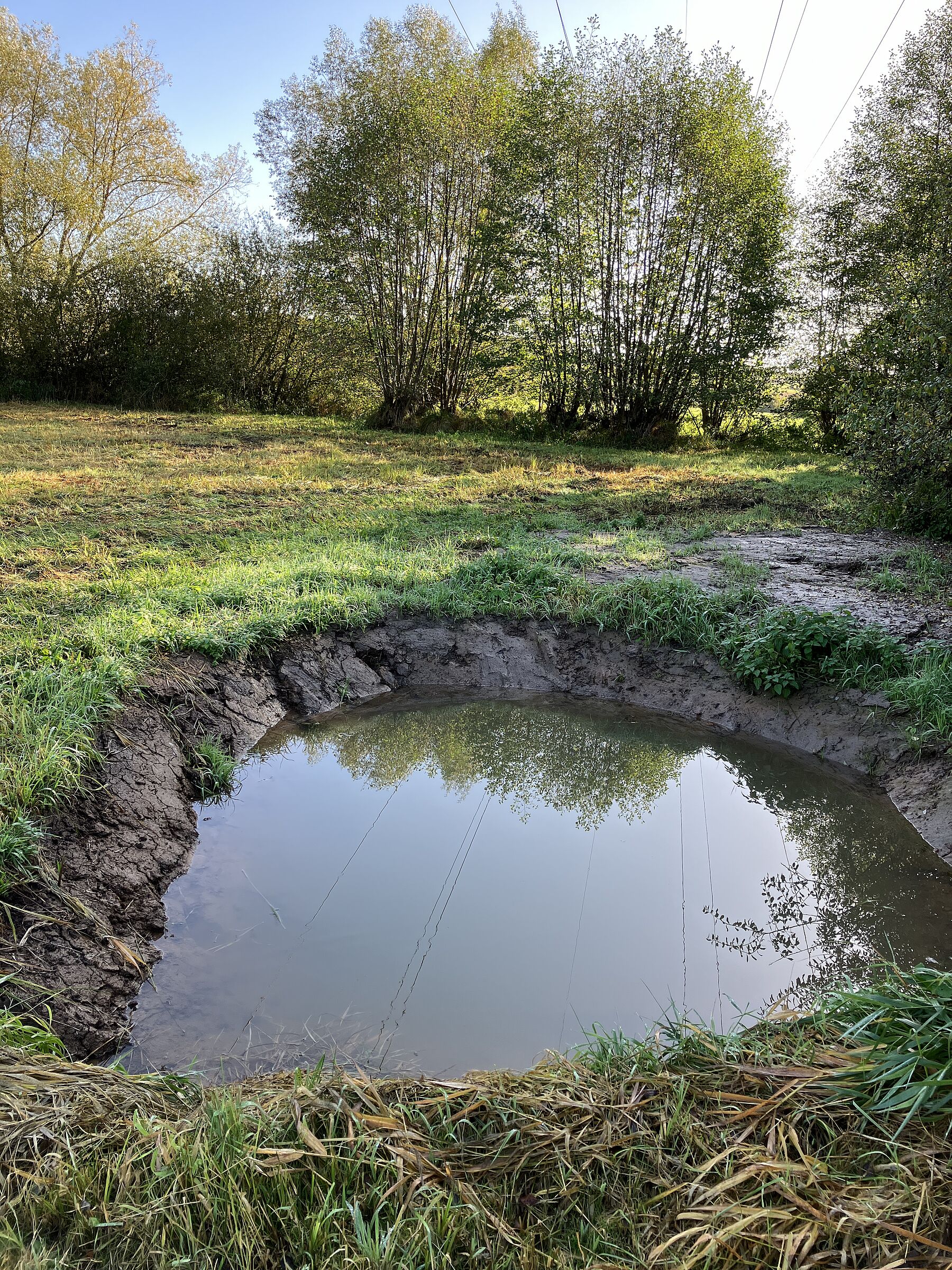 Neuer Tümpel in Großhabersdorf