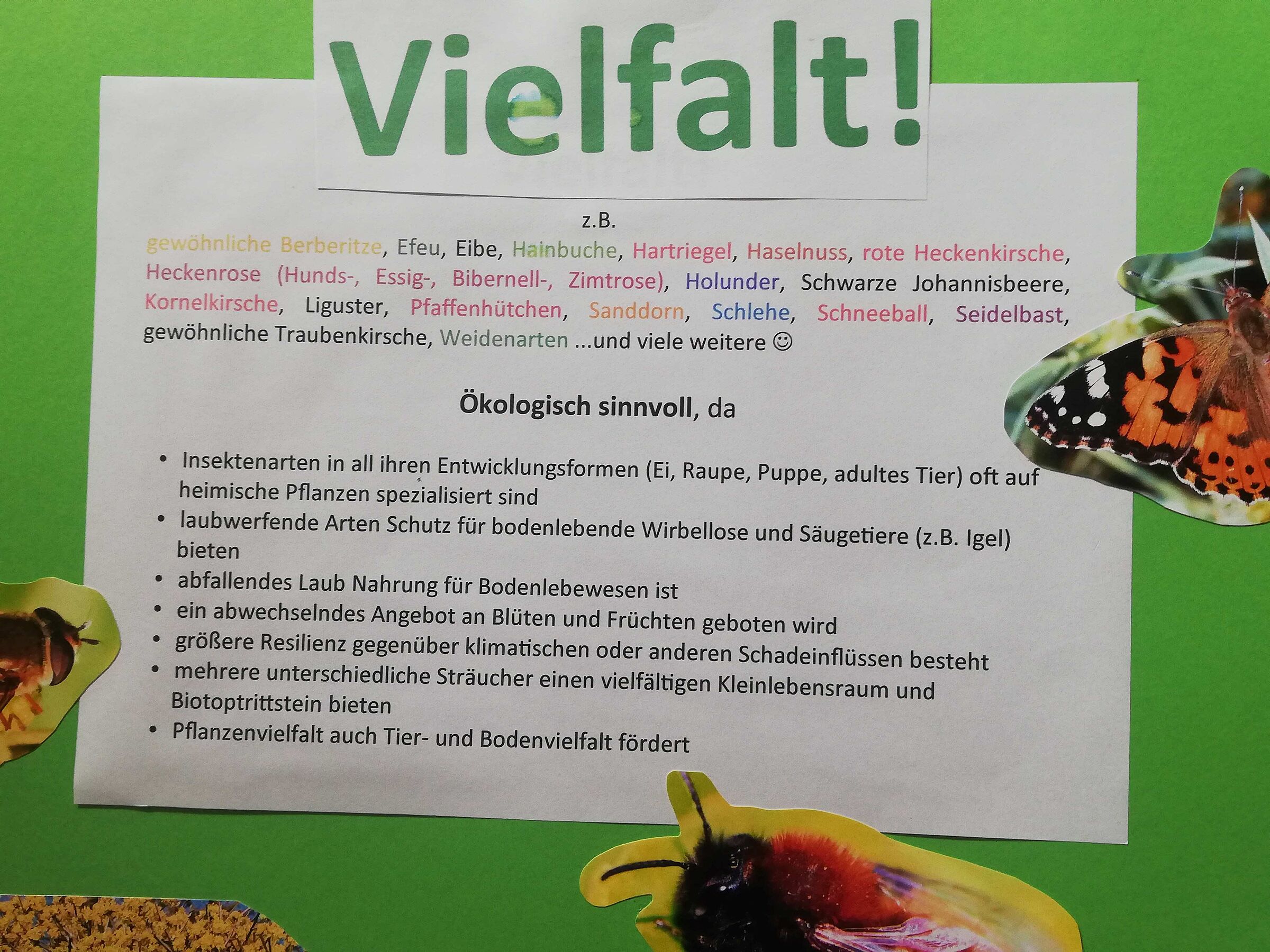 Auflistung ökologisch wertvoller Heckenpflanzen