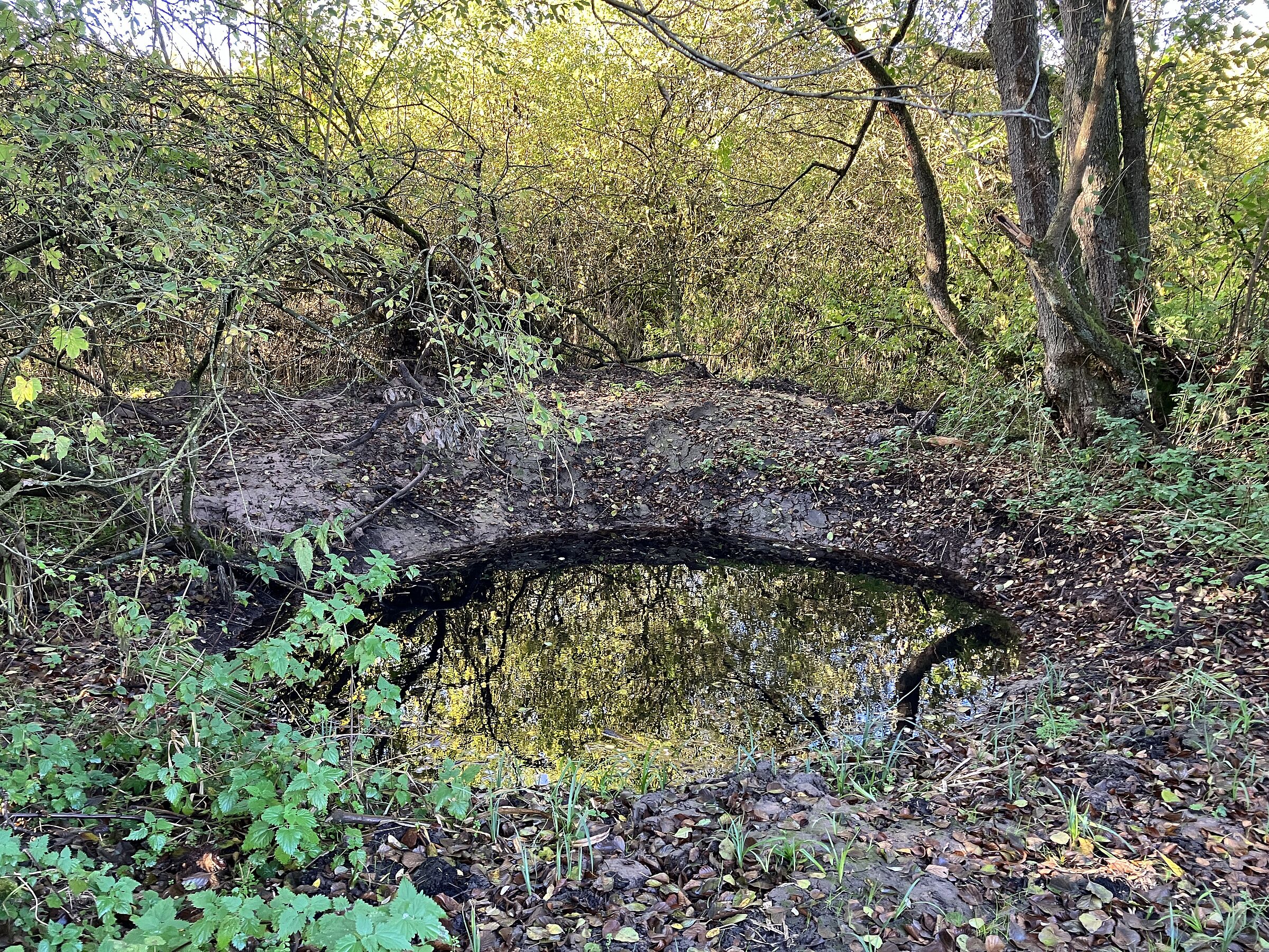 Neuer Amphibientümpel in Großhabersdorf