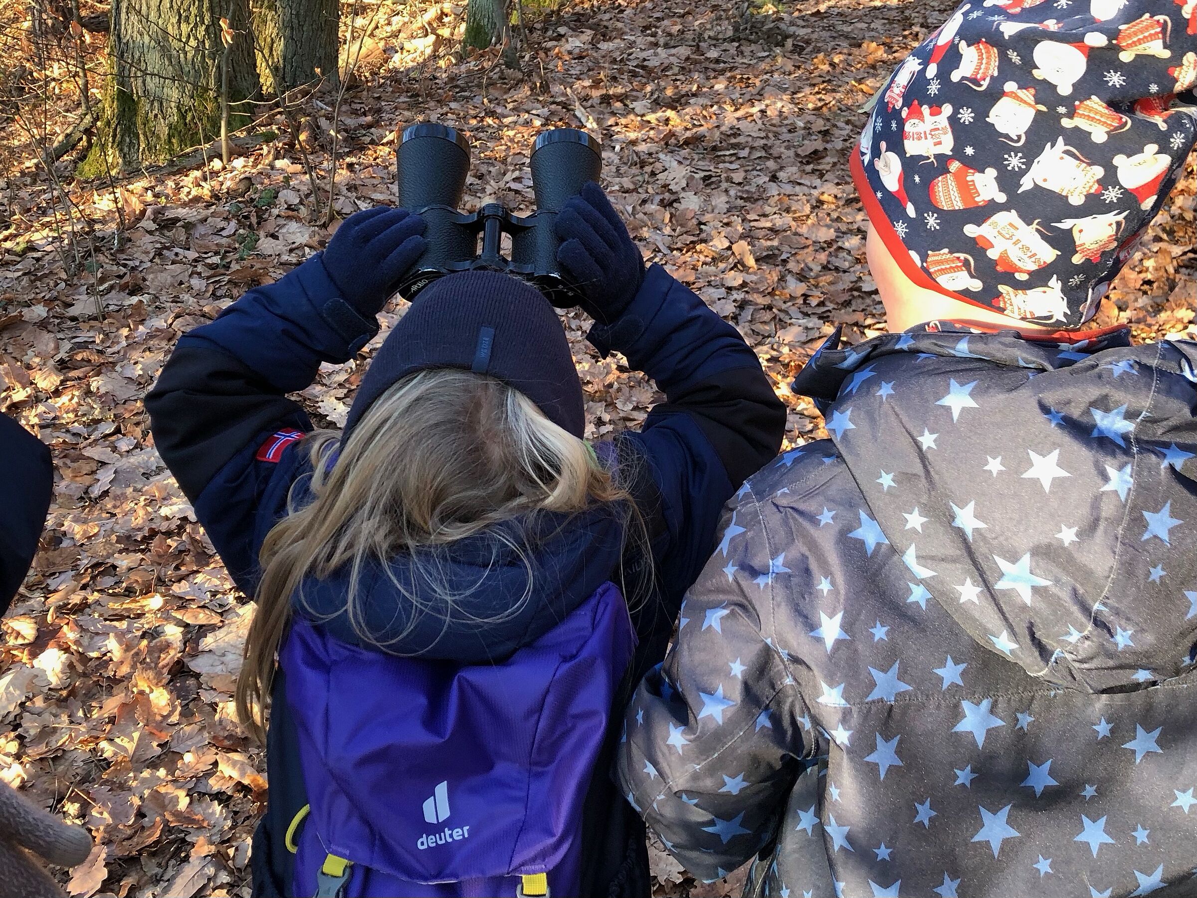 Kind im Wald schaut mit Fernglas nach oben