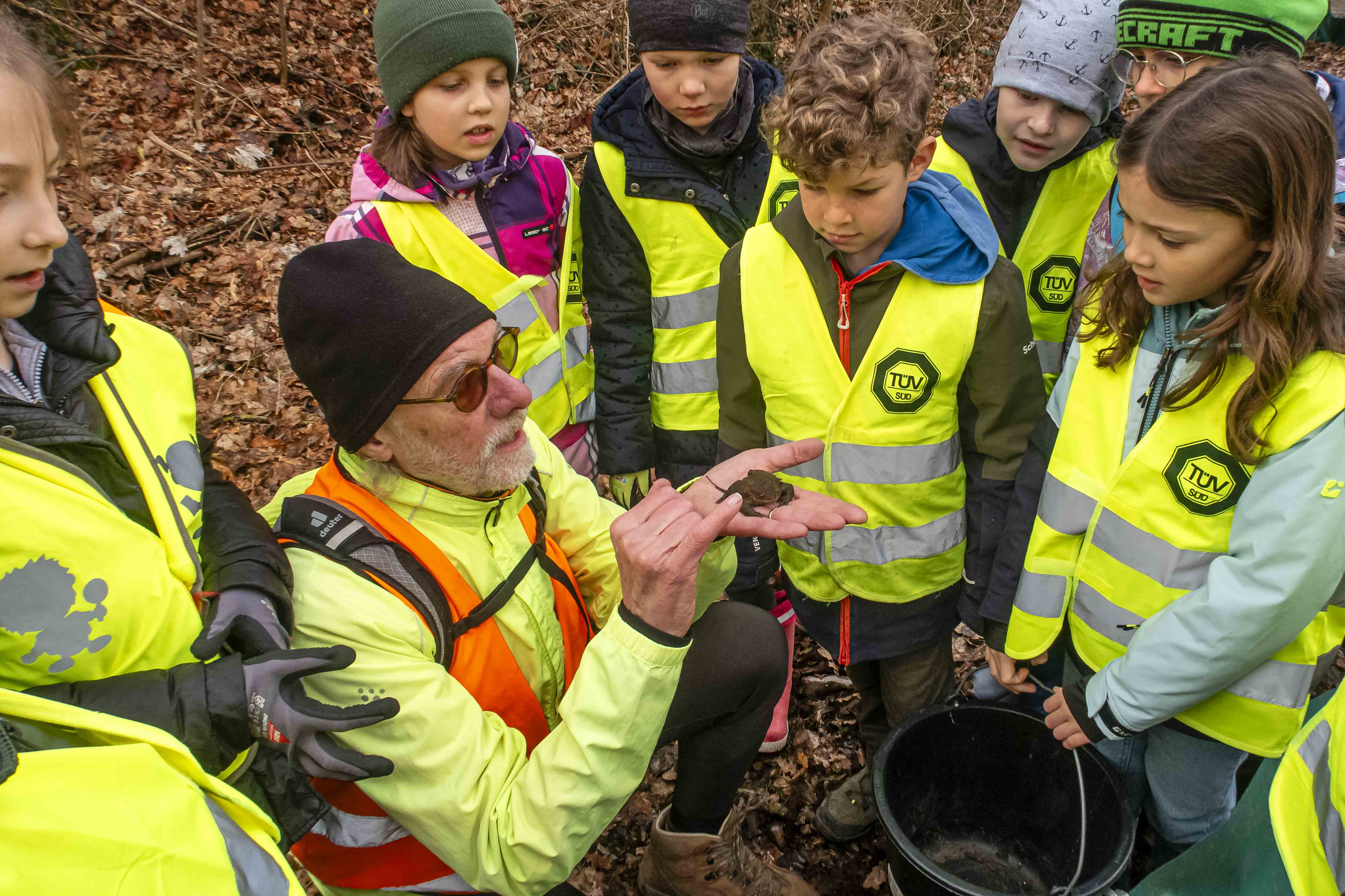 Kinder lernen die Bestimmung von Erdkröten