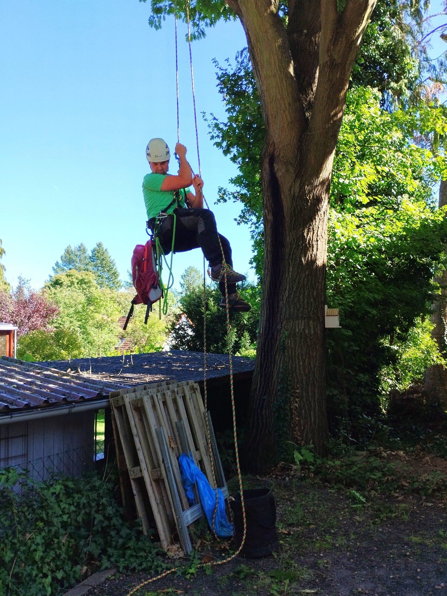 Ein Mann hängt sitzend an einem Seil, das von einem Baum herabhängt