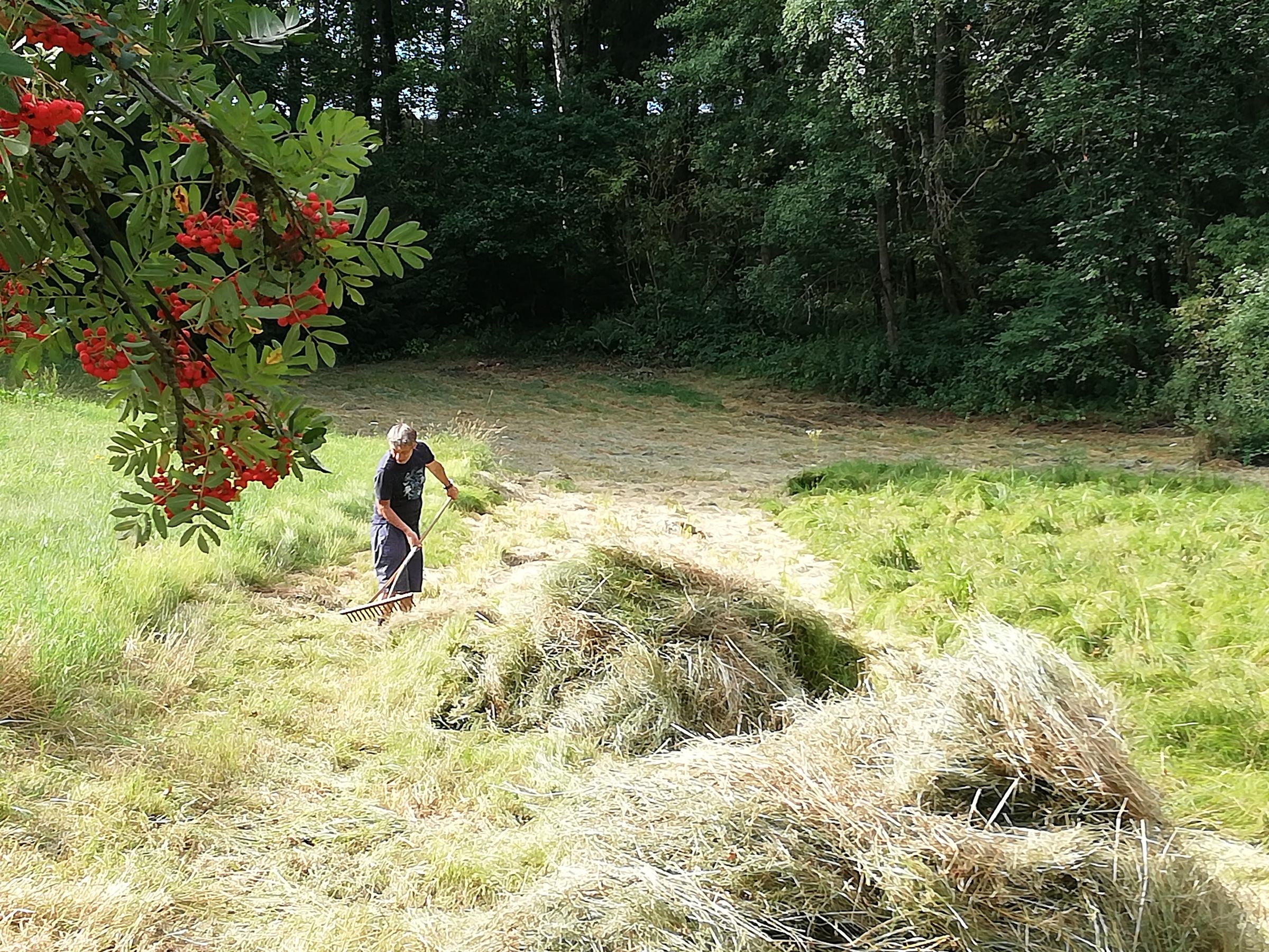 Biotoppflege am Kesselberg 2020